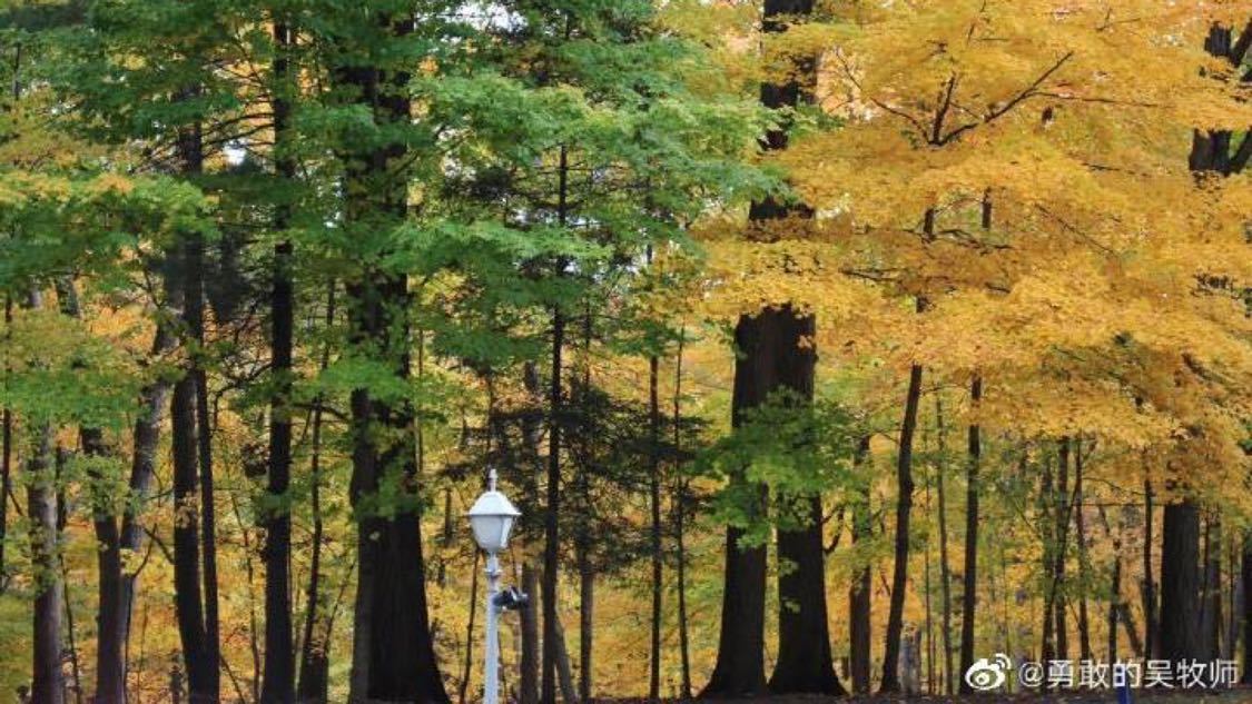 抖音涨赞自助网址：新平台推广策略引热烈反响_抖音点赞自助平台下单网站dy